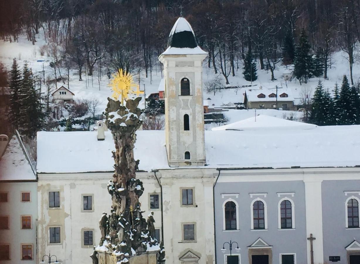Gothic House Apartments Kremnica Bagian luar foto