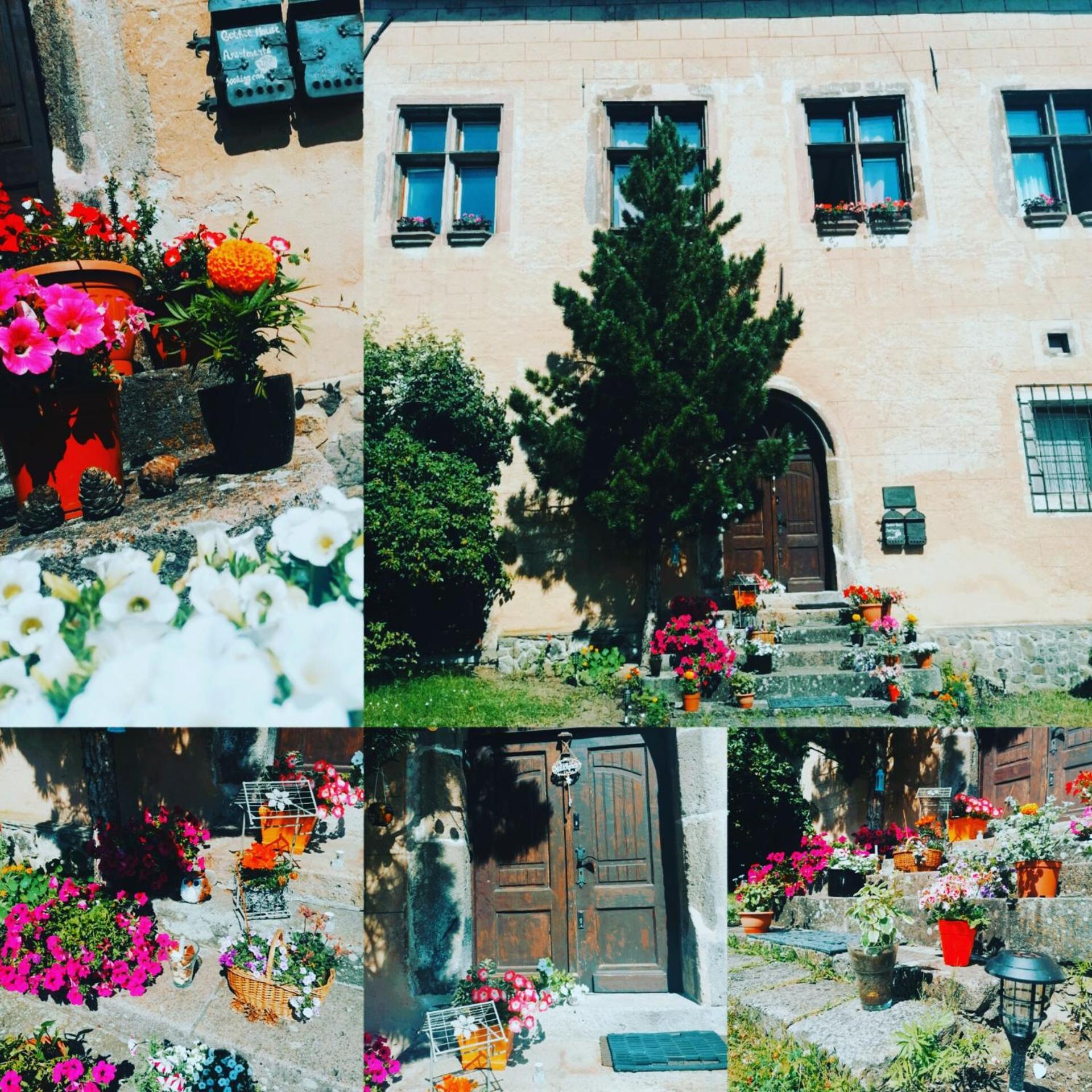 Gothic House Apartments Kremnica Bagian luar foto